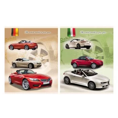 Тетрадь КЛЕТКА 48 л. МАШИНА-8 (48-3856) цвет.мел.обл. 48-3856