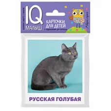 Умный малыш. Породы кошек Набор карточек для детей. / IQ-малыш изд-во: Айрис авт:Малунова М.В.