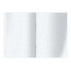 Тетрадь 80л., А4, клетка BG "Monocolor. Chat", неоновые краски 341657