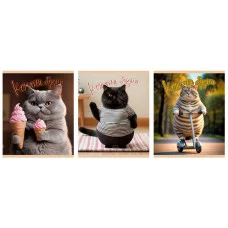 Тетрадь А5 48л "Кошачьи будни" КанцЭксмо ТК489098