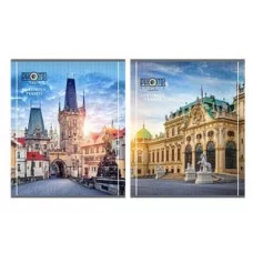 Тетрадь КЛЕТКА 48 л. ЕВРОПЕЙСКИЕ ВИДЫ-3 (48-4647) цвет.мелов.обл. 48-4647