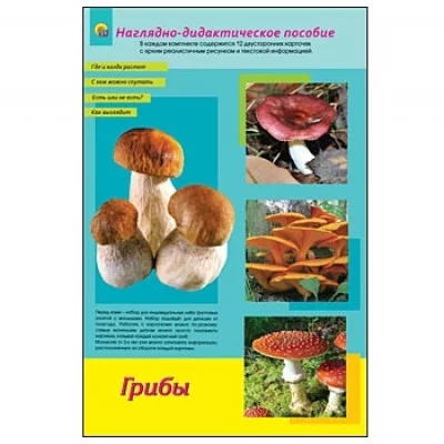 ДИДАКТИЧЕСКОЕ ПОСОБИЕ. формат А4. ГРИБЫ СЪЕДОБНЫЕ И ЯДОВИТЫЕ (Арт. ПД-1776)