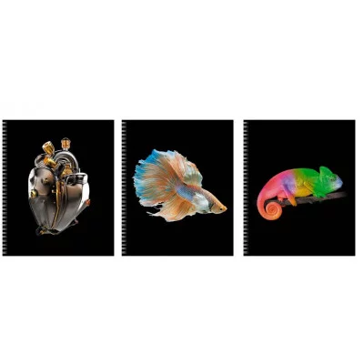 Тетрадь А5 96л "На контрасте" КанцЭксмо ТС968552