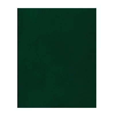 Тетрадь 48л., А5 клетка BG, бумвинил, зеленый 357586