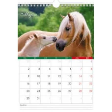 Календарь настенный перекидной 22х30 МИНИ на 2026г бум. Мелованная на гребне с ригелем с НАКЛЕЙКАМИ- КлнП155