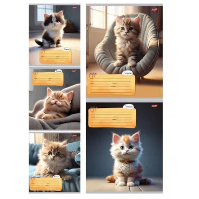 Тетрадь ЛИНИЯ 24л. КОТИК ДОМА (24-5773) обл.-мелов. картон, 24-5773