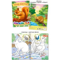 Раскраска А5 "Шарк" Лесные животные 28097