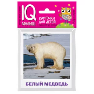 Умный малыш. Животные полярных широт. Набор карточек для детей. / IQ-малыш изд-во: Айрис авт:Ходюшина Н.П.