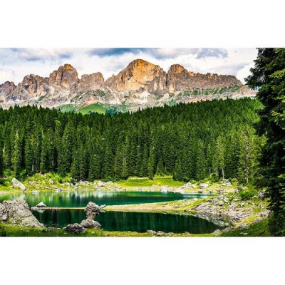 Холст с красками 30х40 см по номерам. ПРЕКРАСНЫЙ ЛЕС В ГОРАХ (Арт. Х-9048)