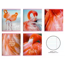 Тетрадь 48 л. А5 лин. скреп. офс. Schoolformat НЕЖНЫЙ ФЛАМИНГО мел. карт., спл. УФ-лак 238738