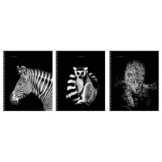 Тетрадь А5 96л "Прекрасные создания" КанцЭксмо ТСФ968547