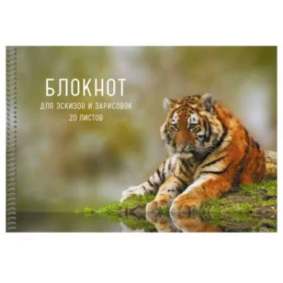 Блокнот для эскизов и зарисовок 20л "Тигр" КанцЭксмо БС20182