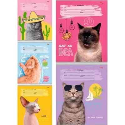 Тетрадь КЛЕТКА 18л. КРЕАТИВНЫЕ КОТЫ (18-3223) обл.-мелов.картон. TМ"Profit" 202398