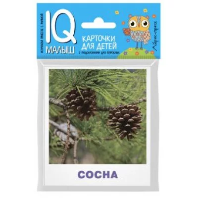 Набор карточек Айрис-Пресс "Умный малыш. Деревья", для детей 3-9 лет, двусторонние 512048