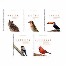 Тетрадь А5 80л "Красивые птицы" КанцЭксмо ТСЛ808803