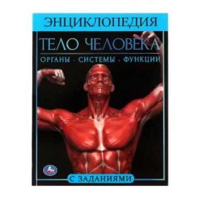 Тело человека Энциклопедия А4 197х255мм 48 стр мелов бумага тв переплет Умка 978-5-506-06178-6