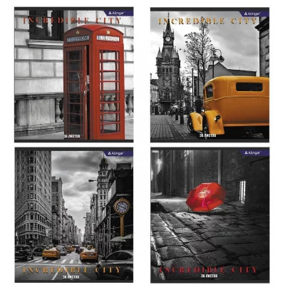 Тетрадь 36 л., А5, клетка, Alingar "Городские виды ", скрепка, офсет,  мелованный картон (стандарт),