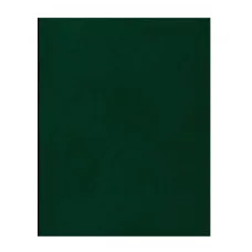 Тетрадь 48л., А5 клетка BG, бумвинил, зеленый 357586