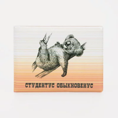 Обложка для студенческого билета, 10,7*0,3*8 см, "Студентус", оранжевый 9305807