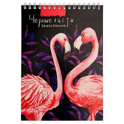 Скетчбук А5, 20л. КОНТРАСТНЫЕ ФЛАМИНГО (20-5665) гребень, обл.мелов.картон, черный блок, жестк.подл 20,5665