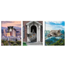 Тетрадь А5 60л "Коты в городе!" КанцЭксмо ТС608567