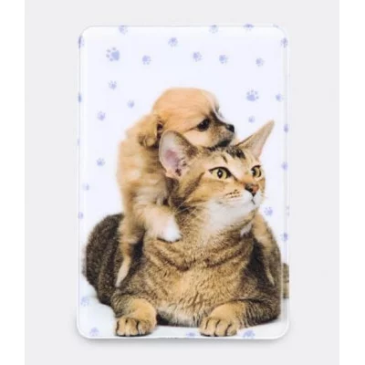 Обложка для проездного, 6,5*0,3*9,5см, с нанесенным рисунком "Друзья" 2925805