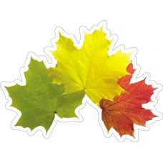 Элемент Кленовые листья (10 эл.) 10-10.02-0026