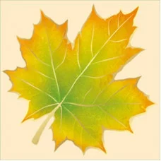 Кленовый лист А5 Империя поздравлений 29810