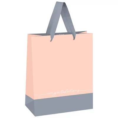 Пакет подарочный 1шт 18*23*10см MESHU "Duotone. Gray-coral", отд. фольгой, матовая ламинация 339775