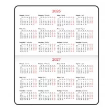 Еженедельник датированный 2026 МАЛЫЙ ФОРМАТ 95х155 мм, А6, BRAUBERG "Vista", под кожу "Black marble", 117203