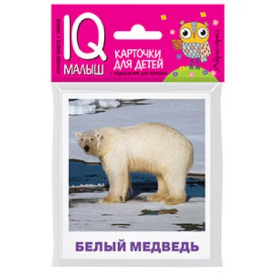 Умный малыш. Животные полярных широт. Набор карточек для детей. / IQ-малыш изд-во: Айрис авт:Ходюшина Н.П.