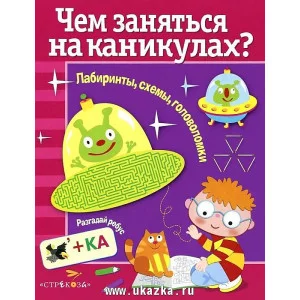 Чем заняться на каникулах? Лабиринты, схемы, головоломки. Вып.2 Стрекоза Чем заняться на каникулах? 978-5-9951-3040-6