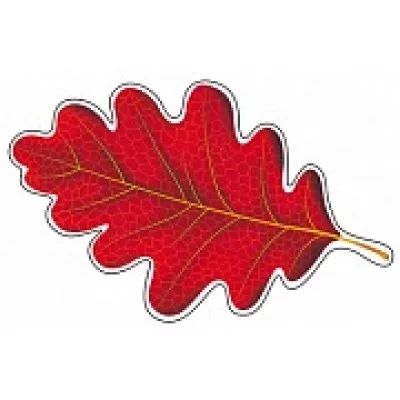 М-9288 Мини открытка Листочки Дуб красный / (о) Детский сад Сфера