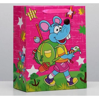 Пакет ламинированный 26x32x12 4704073