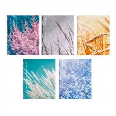 Тетрадь А5 96л "Хрупкая красота"  КанцЭксмо ТС968559