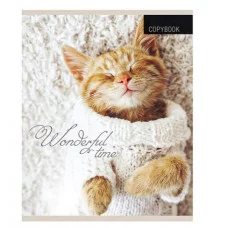 Тетрадь КЛЕТКА 48л. КОТЯТА И ПЛЕДЫ (48-1908) цвет. мелов. обл. 48-1908