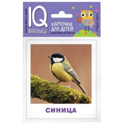 Набор карточек Умный малыш. Птицы АЙРИС-пресс 511891