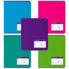 Тетрадь 24л. ЛИН. "КЛАССИКА" АЛЬТ 5ЦВЕТОВ 10% 7-24-011/2 ТЛ2406