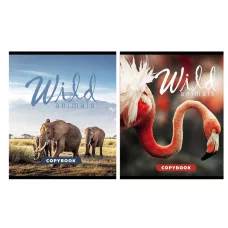 Тетрадь 96 л. А5 кл. скреп. офс.№2 Creativiki ДИКИЕ ЖИВОТНЫЕ мел. карт., ВД-лак, эконом 260438