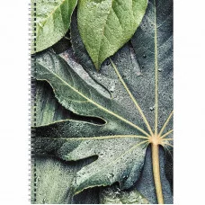 Тетрадь (студ., офис) А4 80л "Листья"  КанцЭксмо