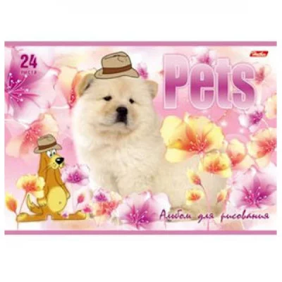 Альбом для рисования 24л А4ф Класс В на скрепке серия -Любимцы- 004051 Аль2504
