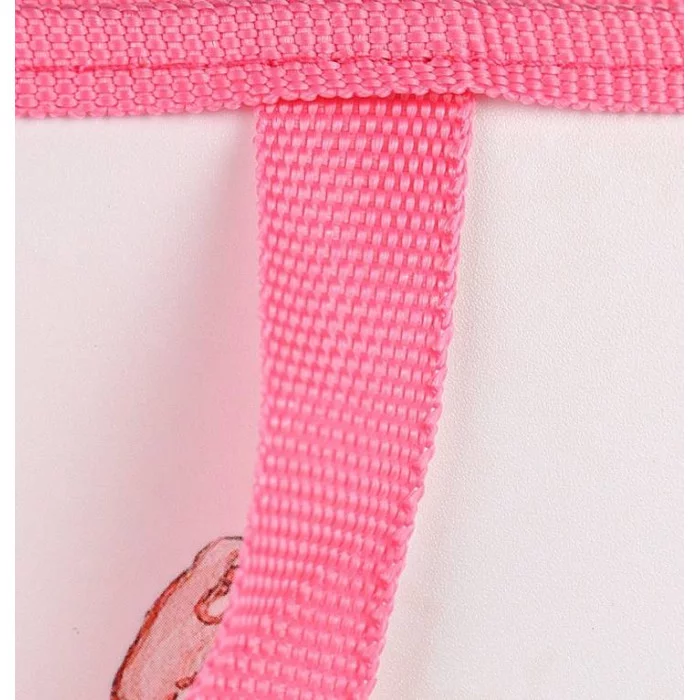 Папка для рисунков и труда БАЛЕРИНА В ТАНЦЕ А3 молния сверху пластик ПТР-1820