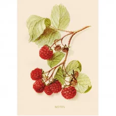 Книга для записей А5 80л "Ягодное настроение"  КанцЭксмо КЗ5803487