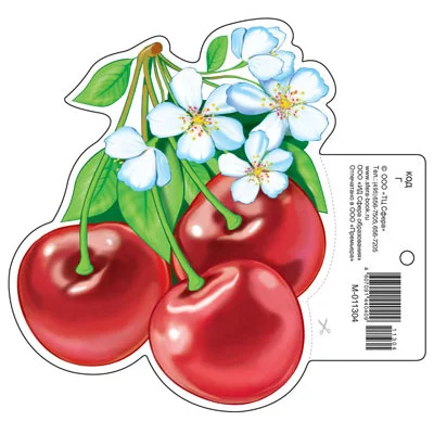 М-11304 Мини плакат Вишня (190х160 мм)