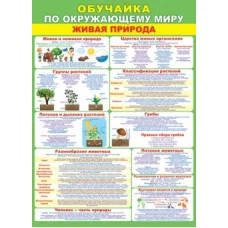 Плакат А2 ОБУЧАЙКА ПО ОКРУЖАЮЩЕМУ МИРУ 0-02-491А