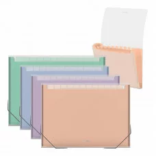 Папка-картотека пластиковая ErichKrause Matt Pastel Bloom, с 13 цветными отделениями, A4, прозрачный, ассорти 1шт 61214