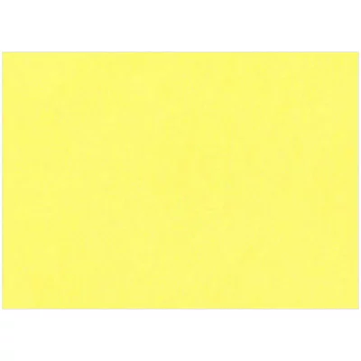 Картон цветной тонированный А4, 1лист Лилия Холдинг, 200г/м2 жёлтый Лилия Холдинг 139702