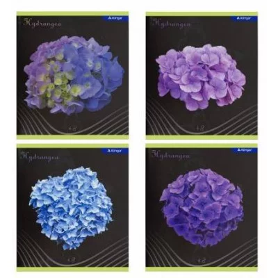 Тетрадь 48л., А5, клетка, Alingar "Hydrange", скрепка, мелованный картон (стандарт), выб УФ лак, блок офсет AL11034