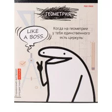 TM Prof-Press Тетрадь КЛЕТКА 48л. ГЕОМЕТРИЯ «Школьные мемасики» (48-9650) стандарт, тиснение холст ПП-00195948