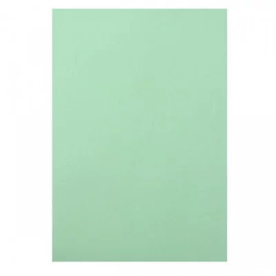 Цв. тонированная бумага А4, 10л. ПЭТ светло-зеленый